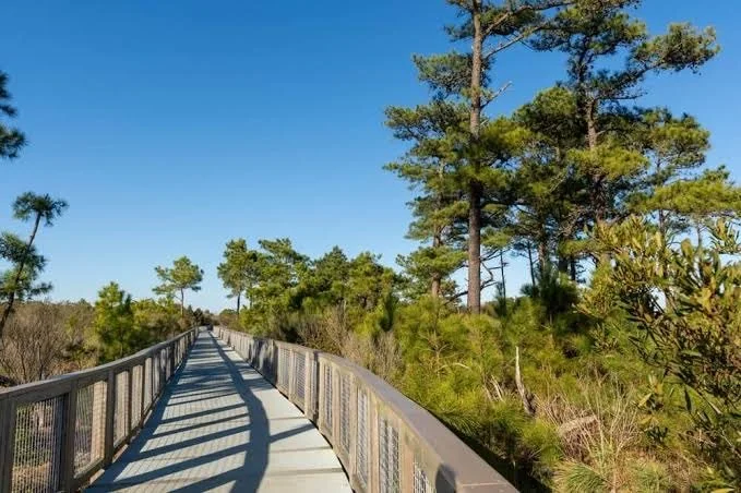 Breakwater Trail in Lewes, DE