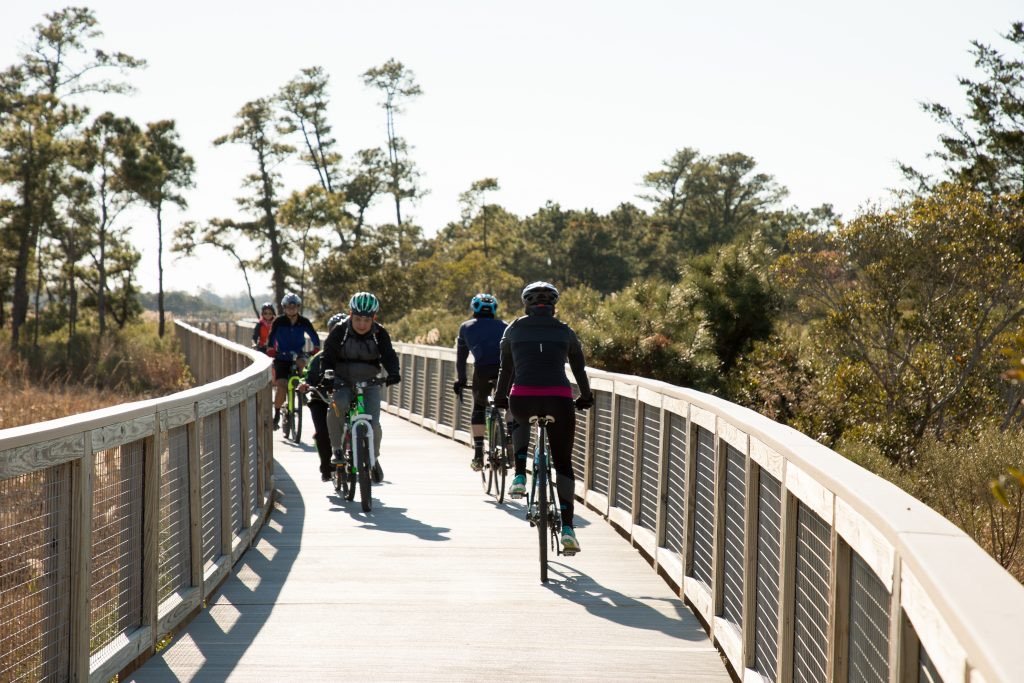 Cape Henlopen State Park in Lewes, DE