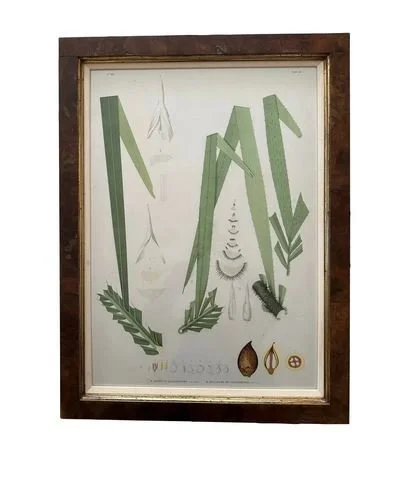 Botanical print