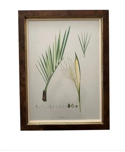Botanical print