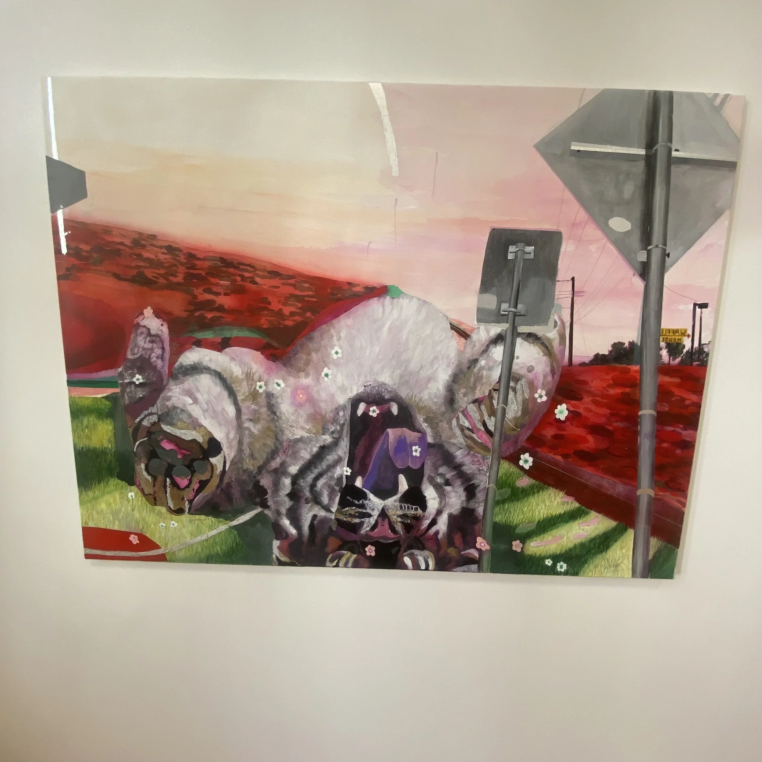 IMG_4497.jpeg