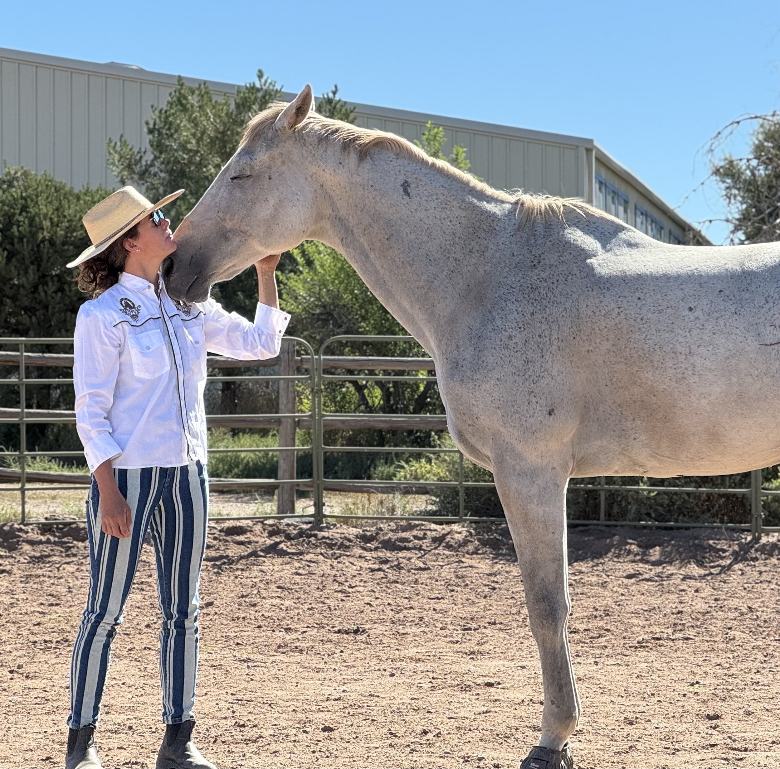 A woman with curly hair, wearing a wide-brimmed hat, sunglasses, a white western shirt, and striped pants, is gently touching the face of a gray horse with a dappled coat, in an outdoor setting with trees, a building, and a bright blue sky.