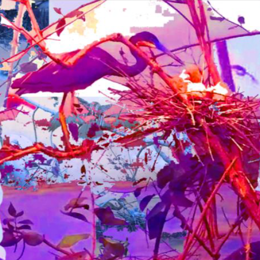 A heron standing on a branch near its nest in a tree with pink and purple tones.