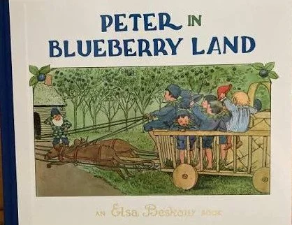 Peter in Blueberry Land
