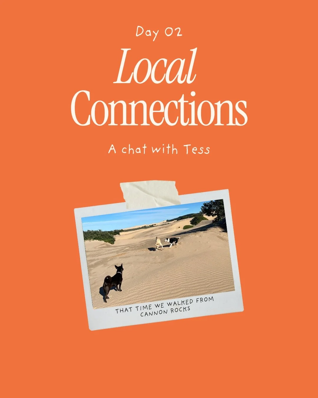 I met up with Tess, a fellow member of the 'B-team' running squad (we mostly walk!), who is also a local WordPress developer and email guru.

To be honest, we didn't actually end up chatting about marketing at all. 

My mind was on a million other th
