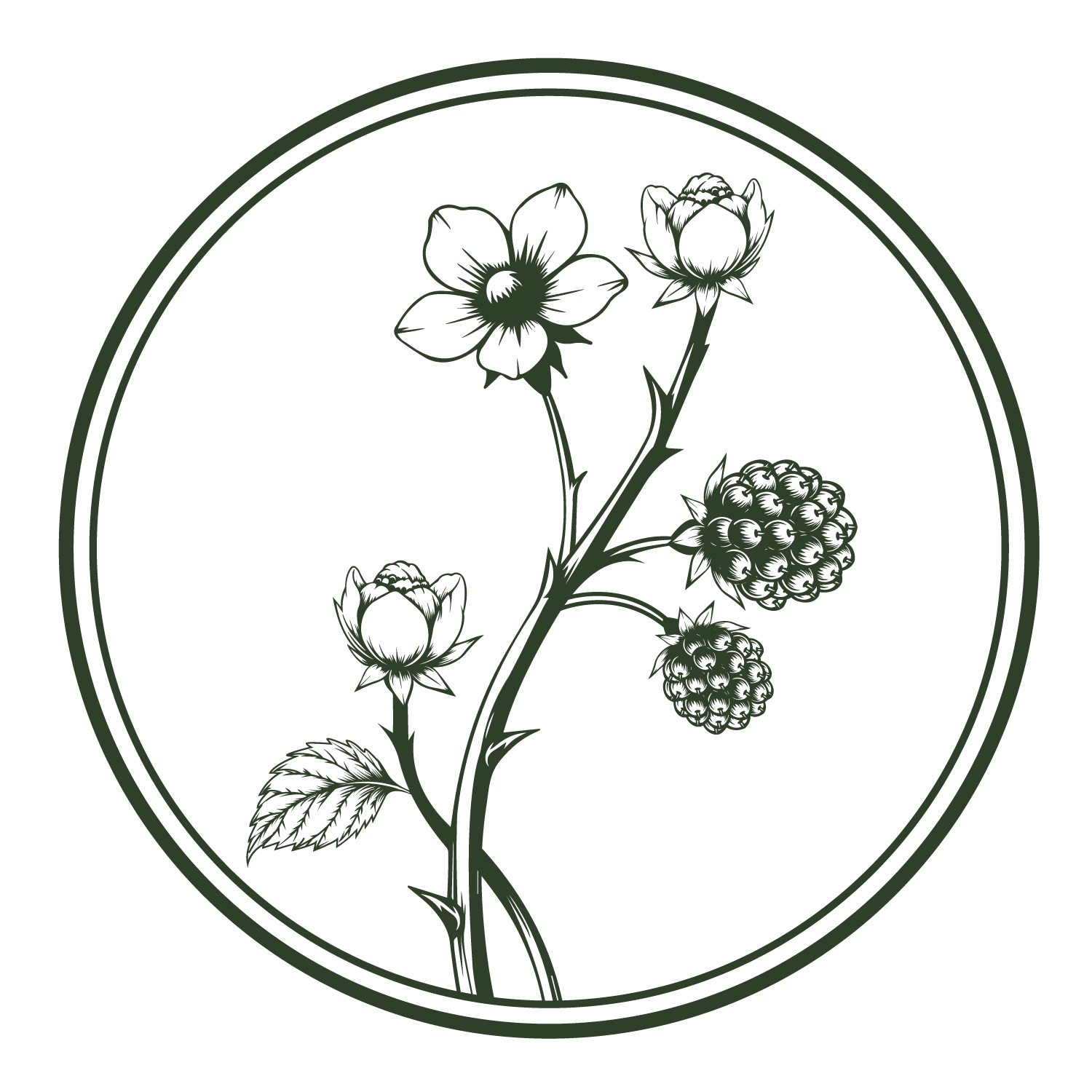 A vintage-style illustration of a raspberry plant with flowers, berries, and leaves inside a circular border.