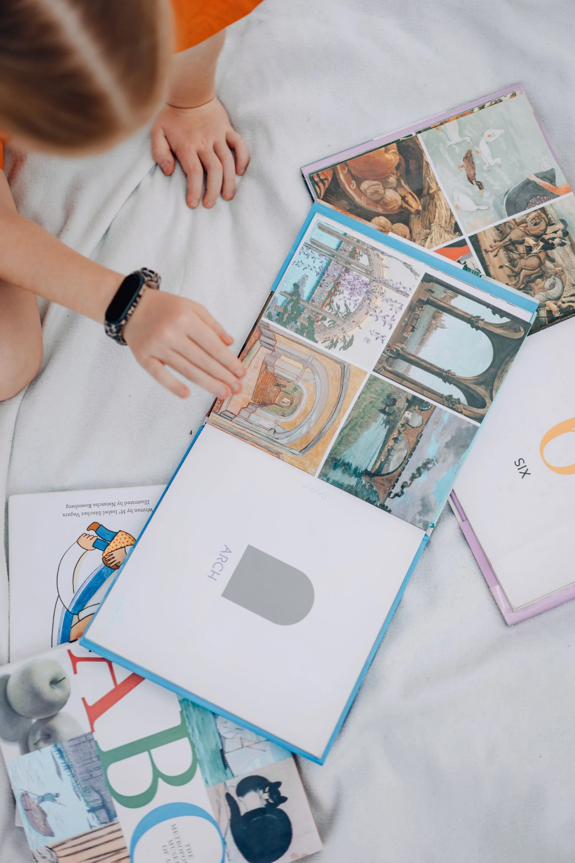 Open books and magazines with illustrations of historical architecture, animals, and paintings, arranged on a white fabric surface.