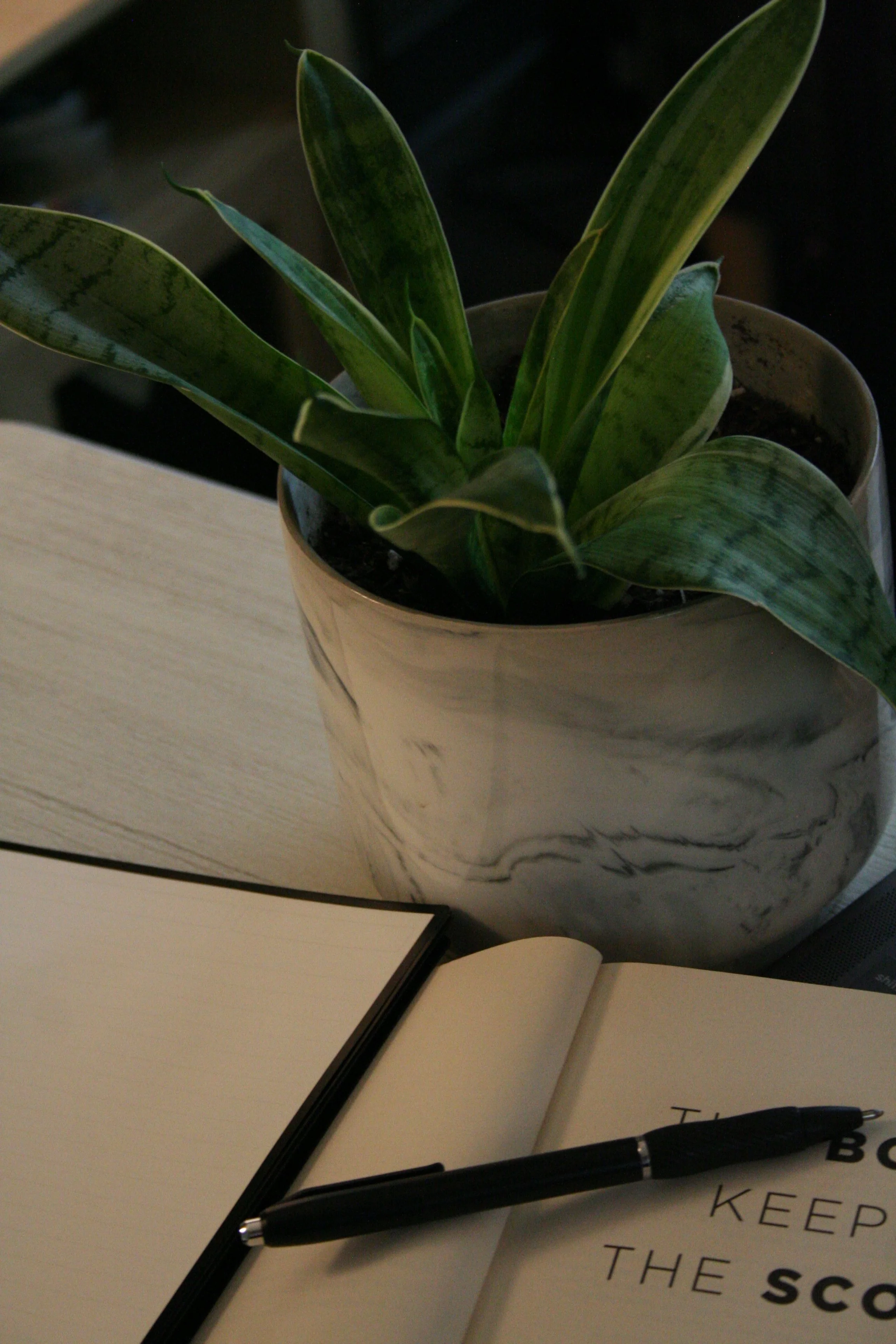 A potted snake plant (Sansevieria) on a table, an open notebook with some text, a black pen, and a partially visible notebook with the words 'KEEP THE SC' in focus.