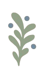 Illustration of a leafy plant with small blue berries or buds