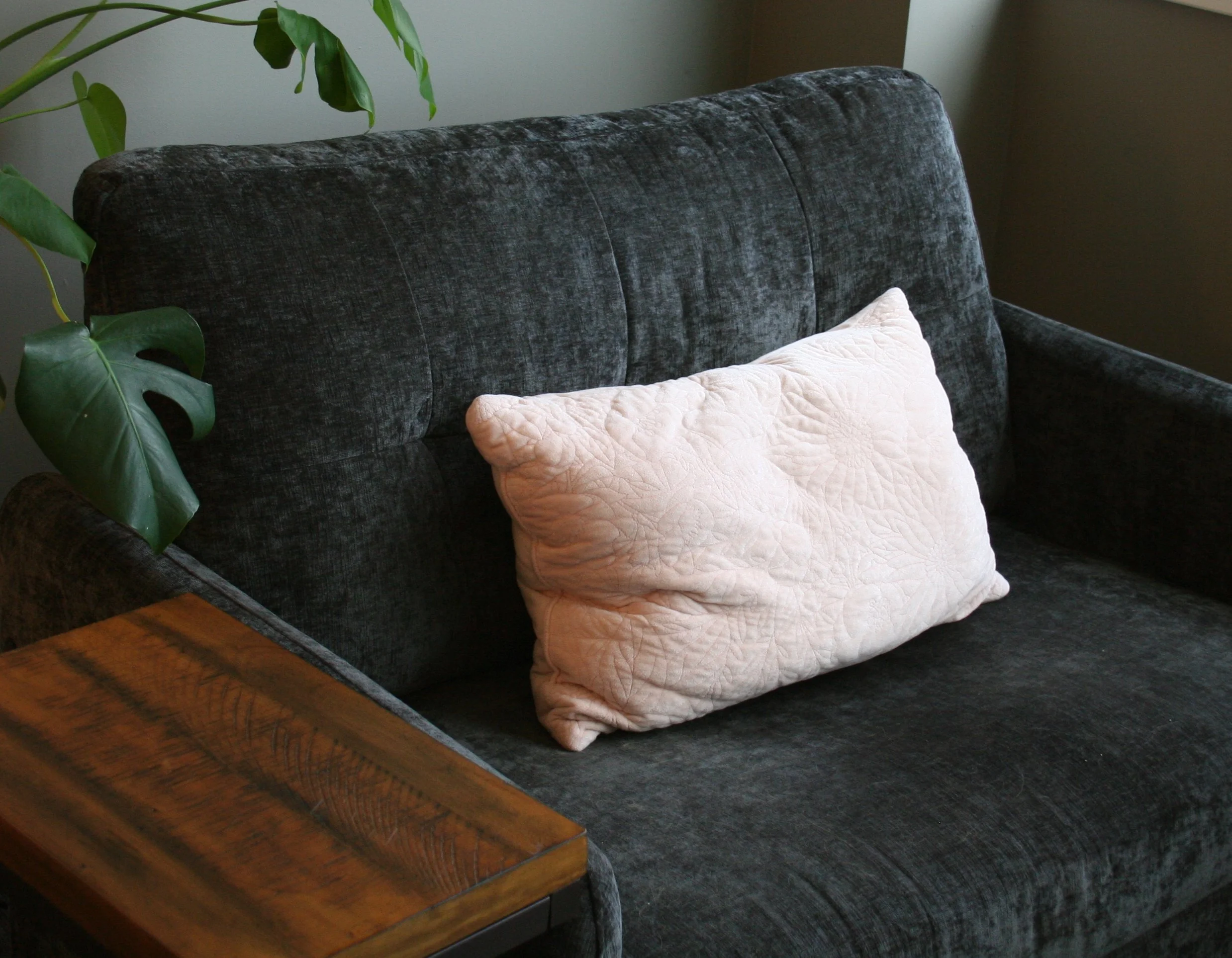 A living room scene with a dark grey velvet sofa, a light pink quilted pillow, a wooden coffee table, and a green houseplant with large leaves.
