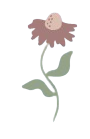Illustration of a white flower with a gray background