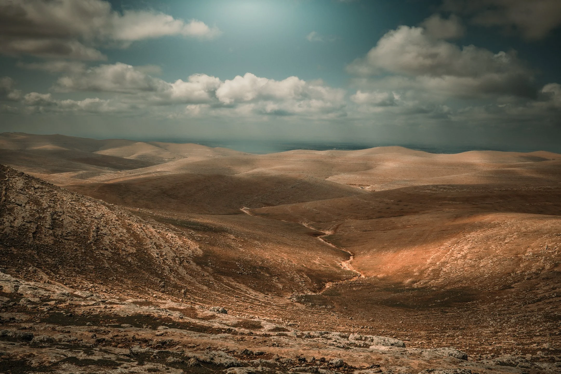 X1007421-Edit-2.jpg