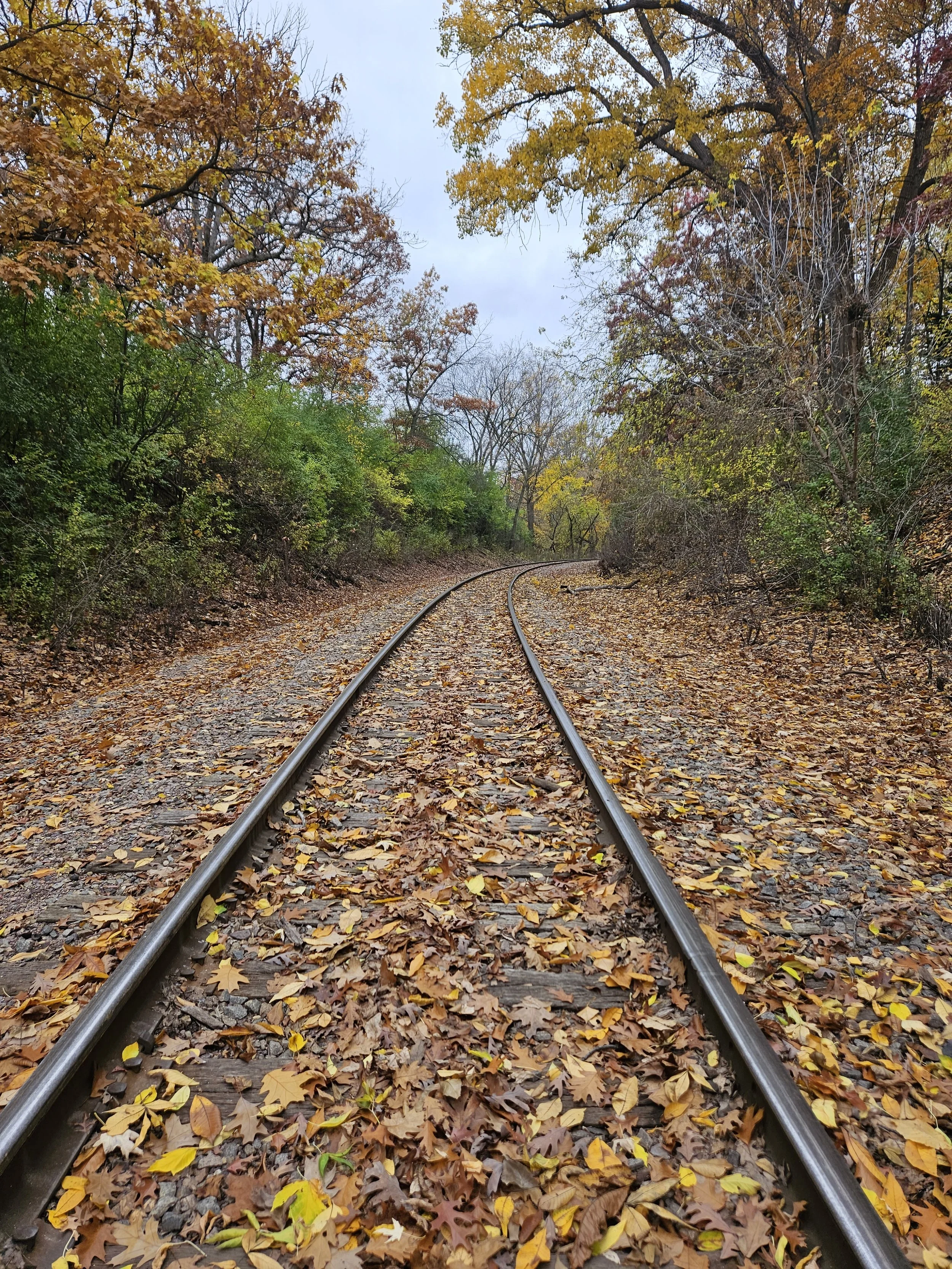 3250.jpg