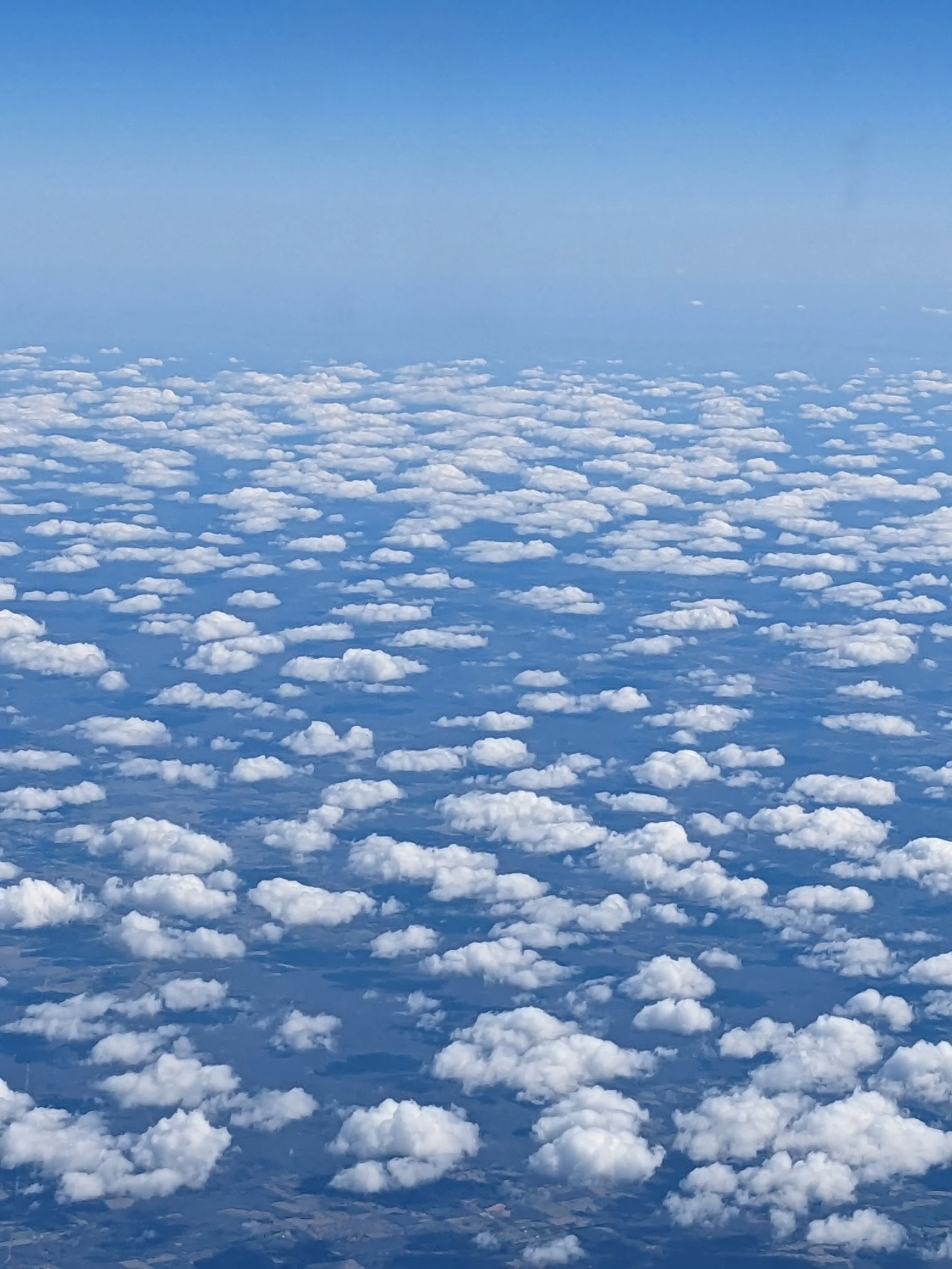 da9ab27a-28f4-428d-a9ff-8854d3b96bae-1_all_266.jpg