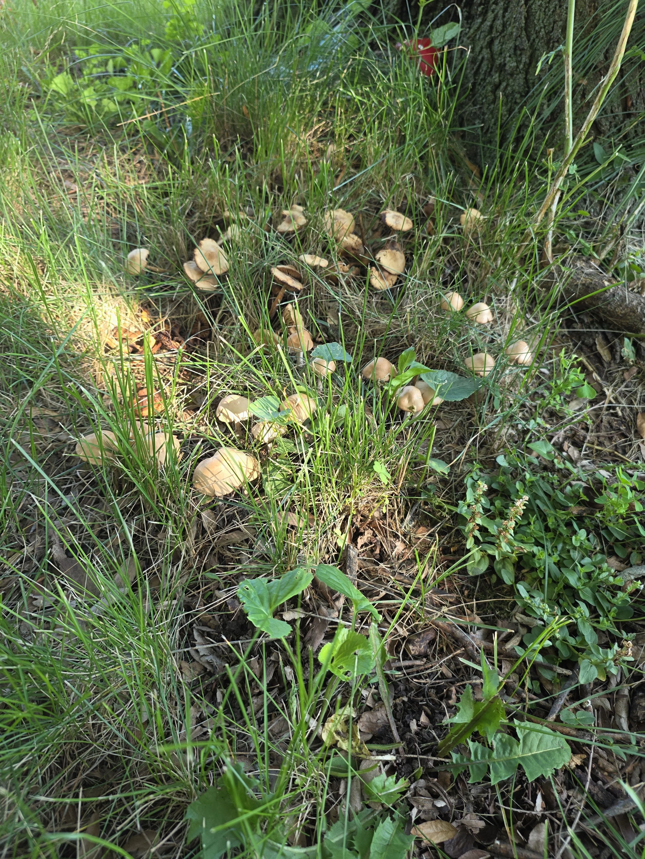 40280.jpg