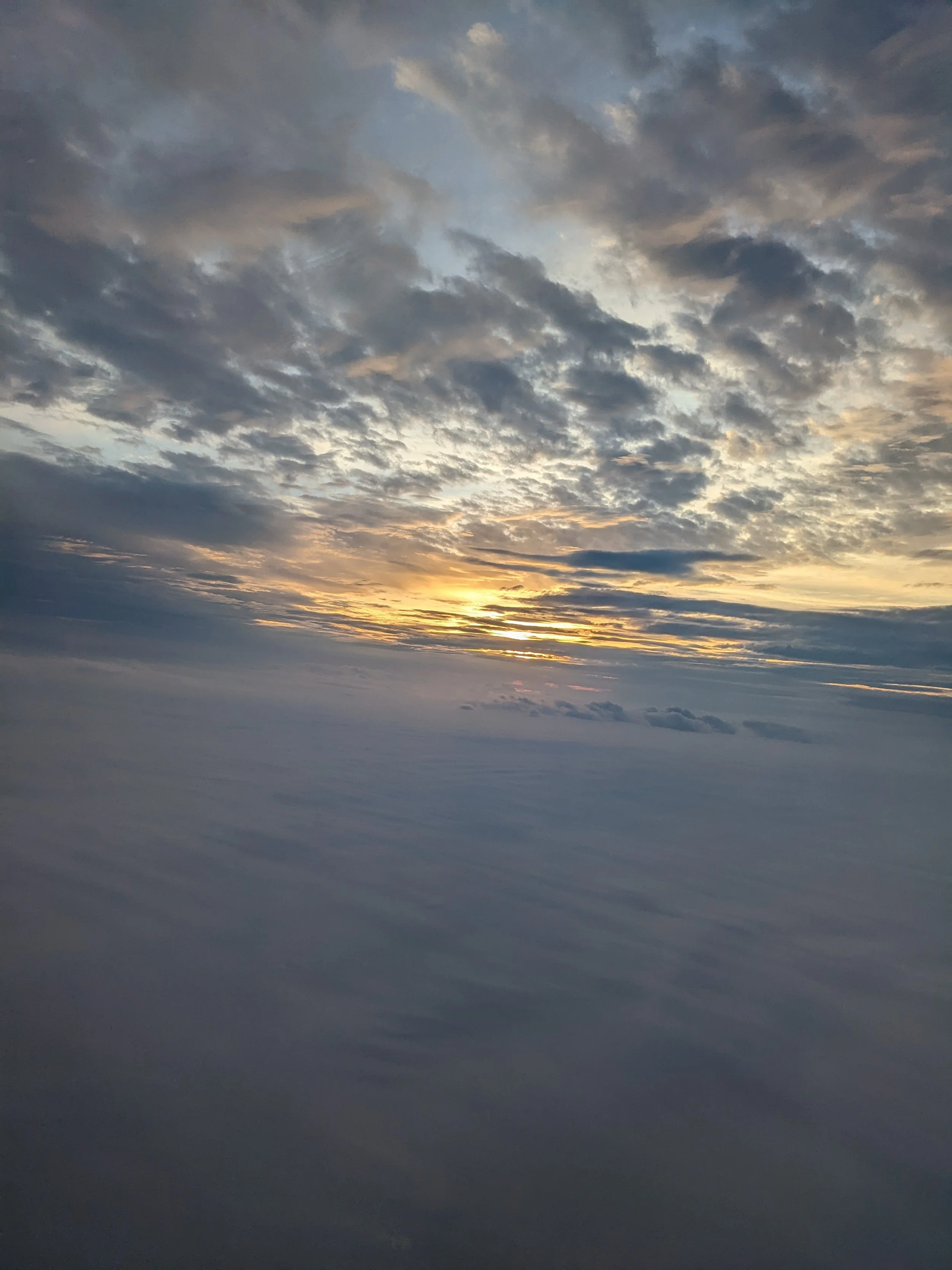 da9ab27a-28f4-428d-a9ff-8854d3b96bae-1_all_947.jpg