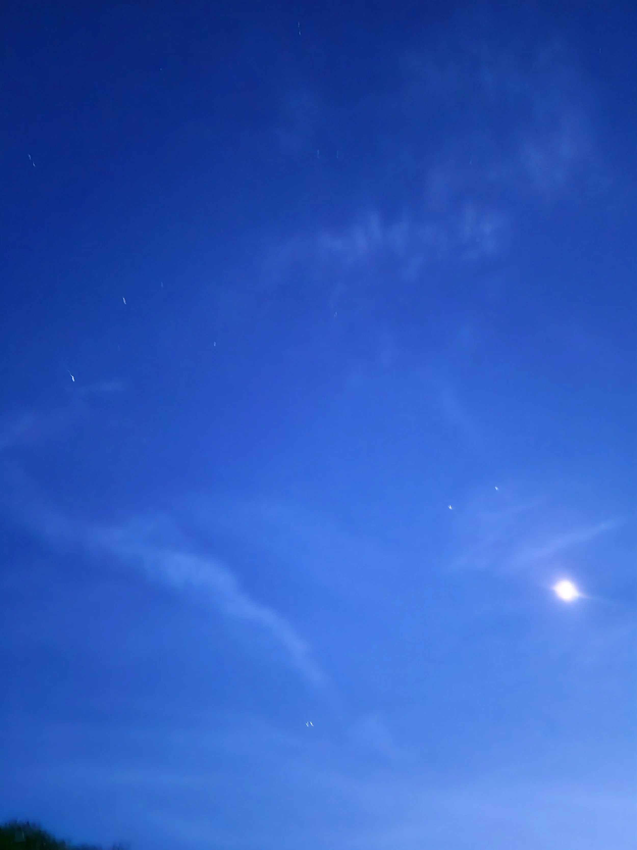 3508.jpg