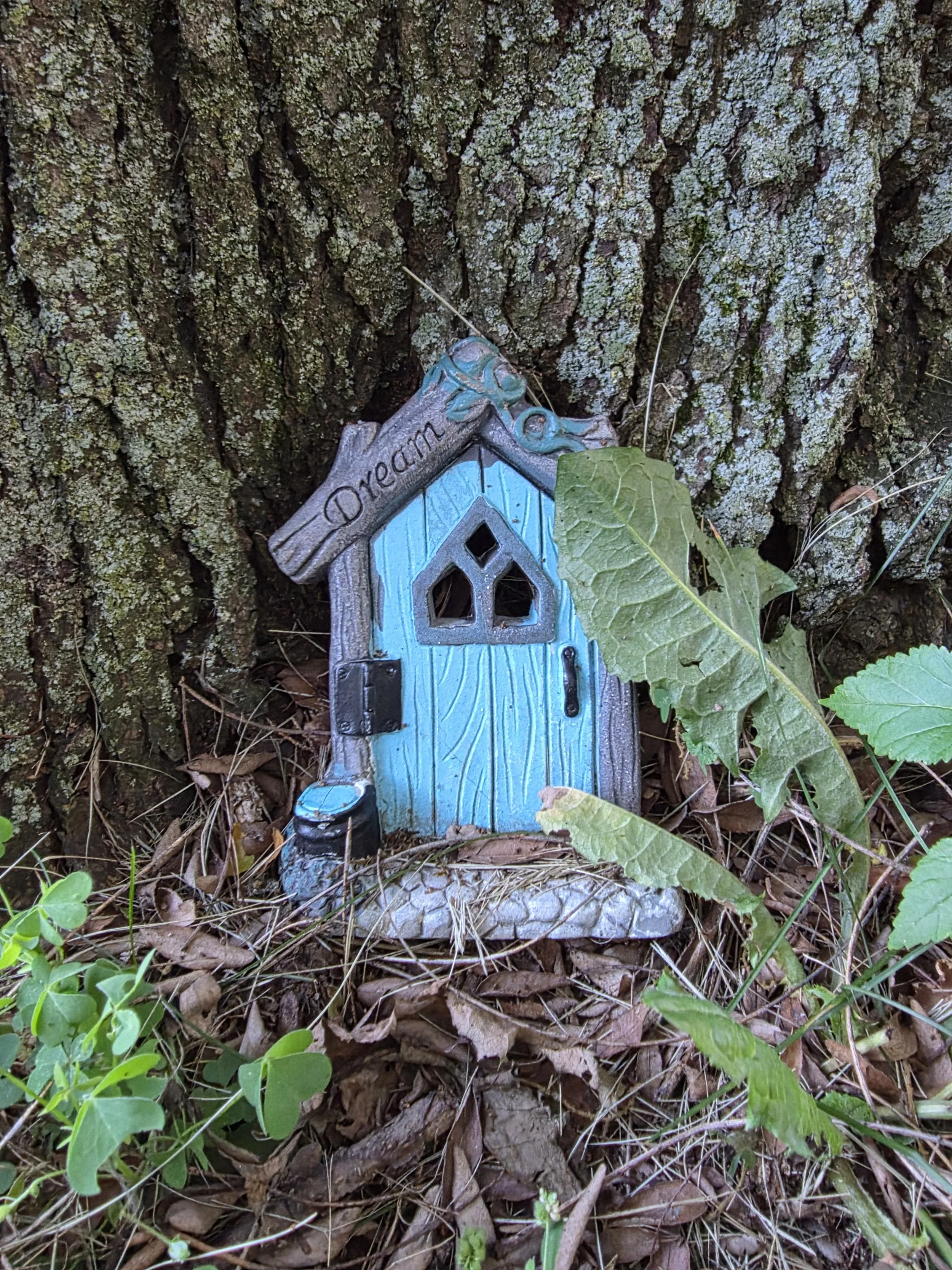 Goblin Photography