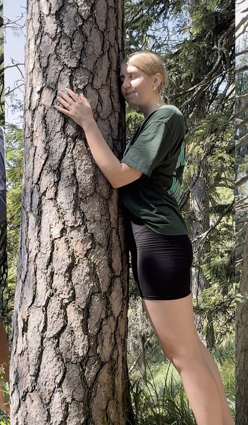 A young woman with blonde hair hugging a large tree in a forested area, wearing a green t-shirt and black shorts.