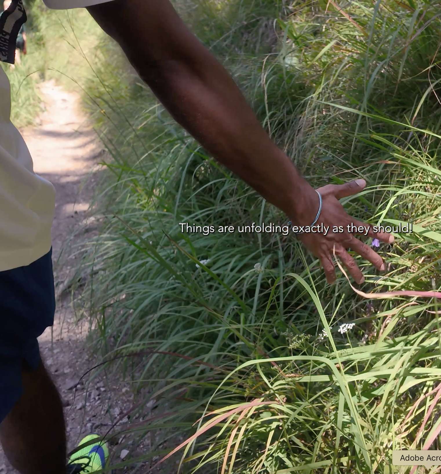 Close-up of a person's arm and hand reaching through tall grass on a trail, with the sky and trees in the background.