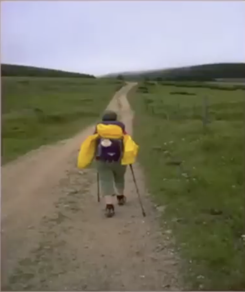 Person hiking on a dirt trail in a grassy landscape, carrying a large yellow backpack and using hiking poles.