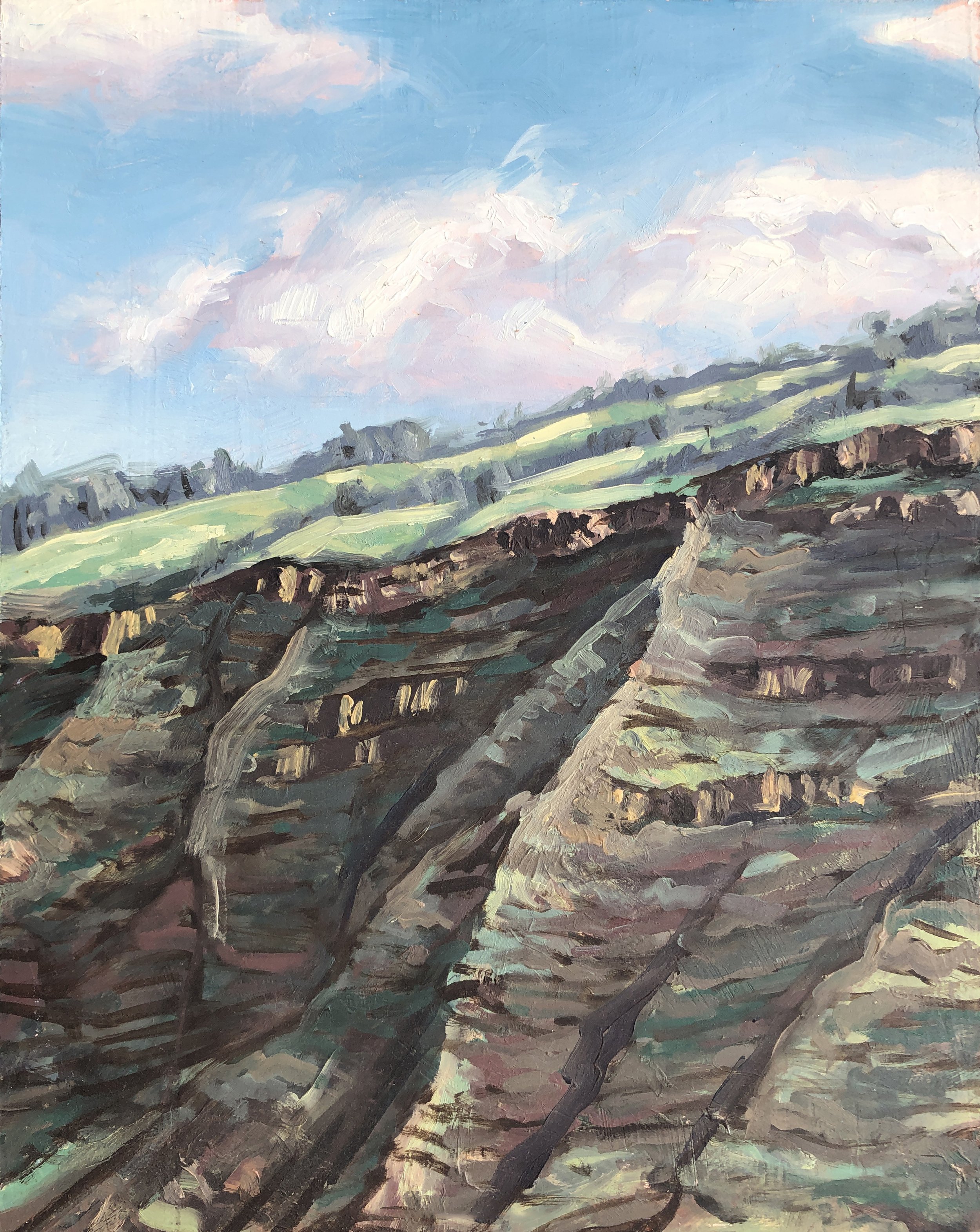 Above Kealakekua Bay oil on panel 10 x 8 inches