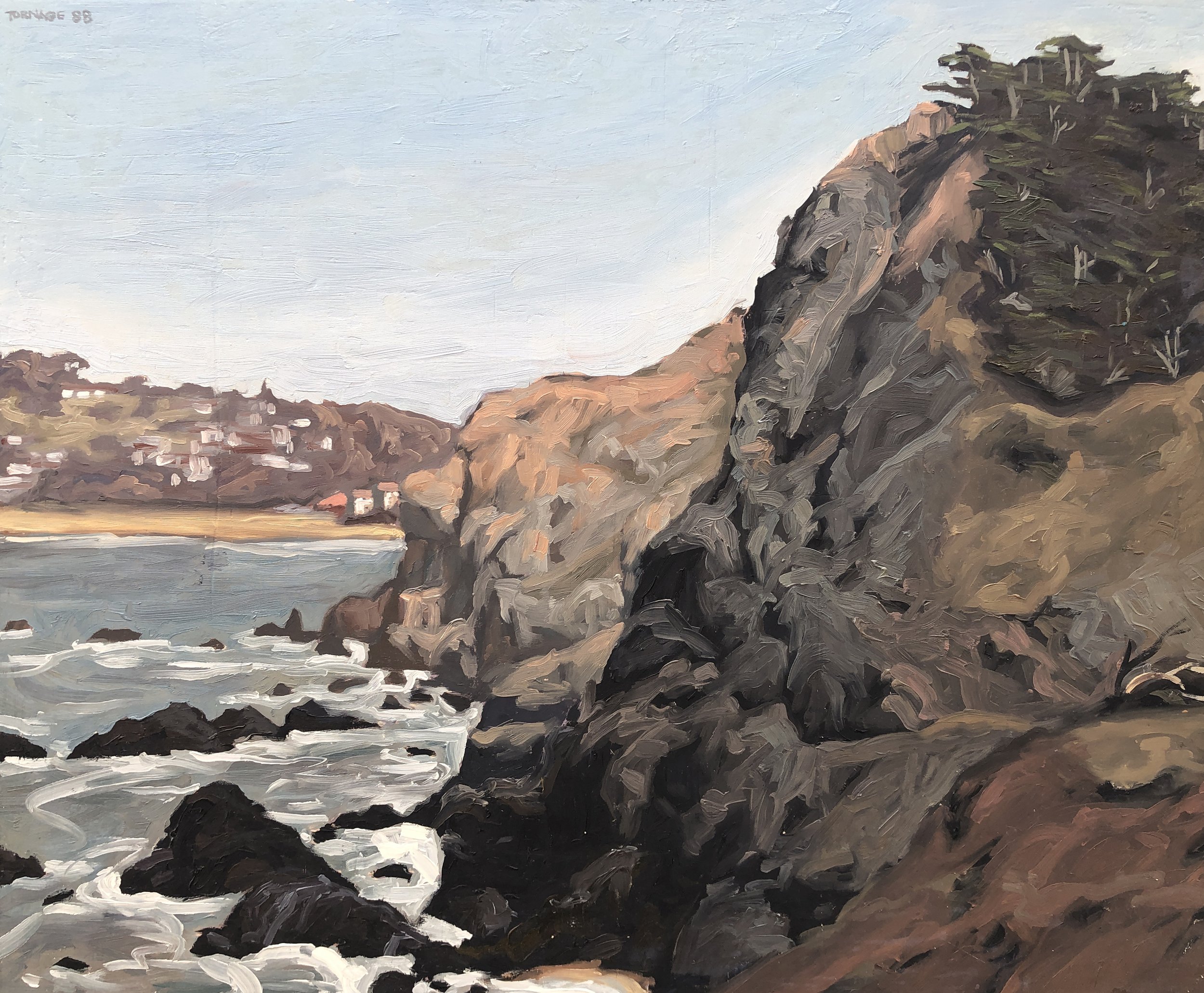 Lincoln Park Cliffs (1988) oil on panel 20 x 24 inches