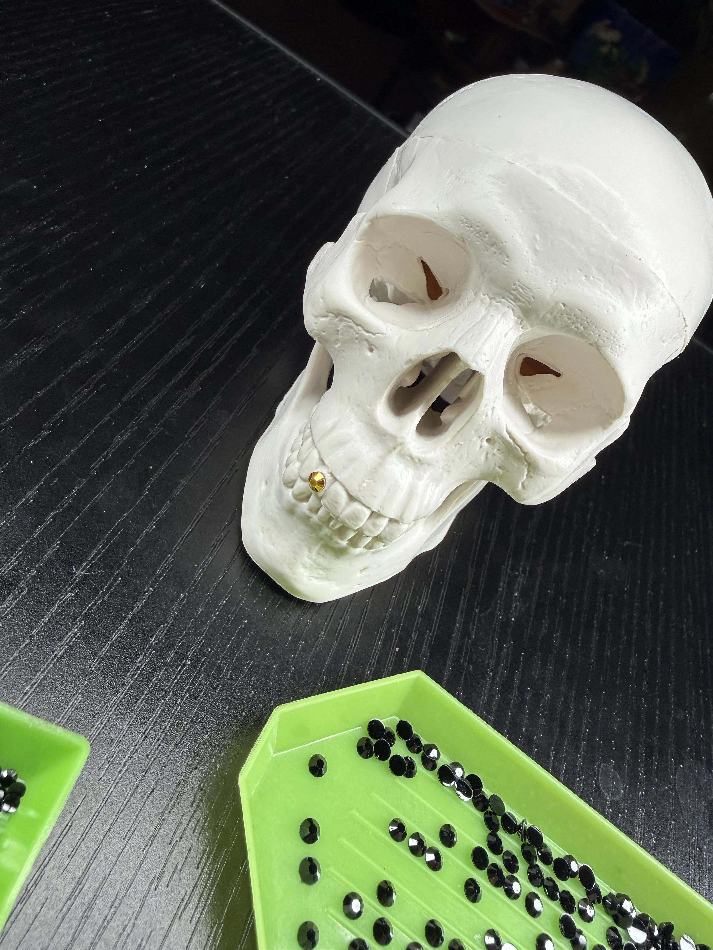 Skull 1.jpg