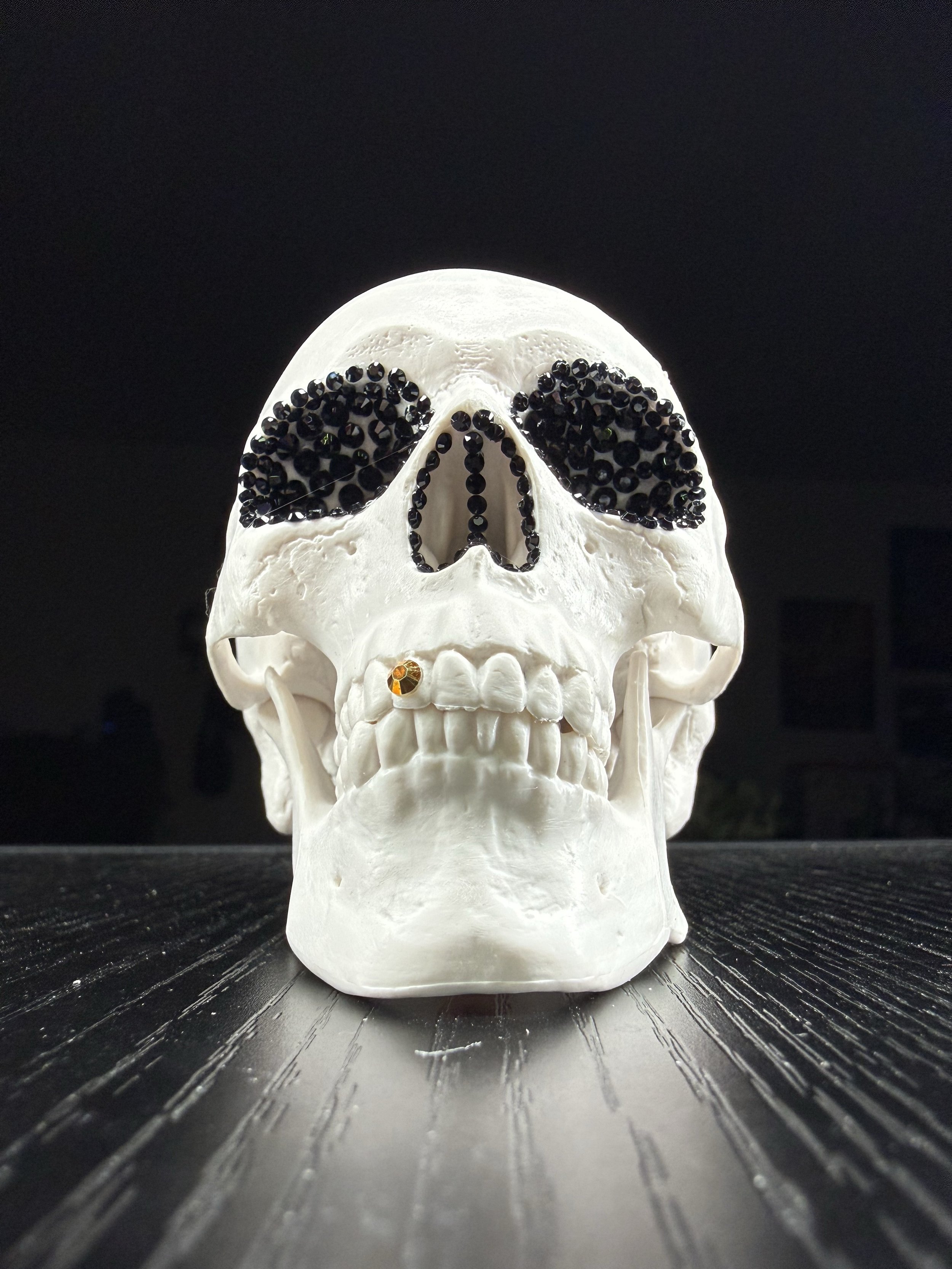Skull 2.jpg