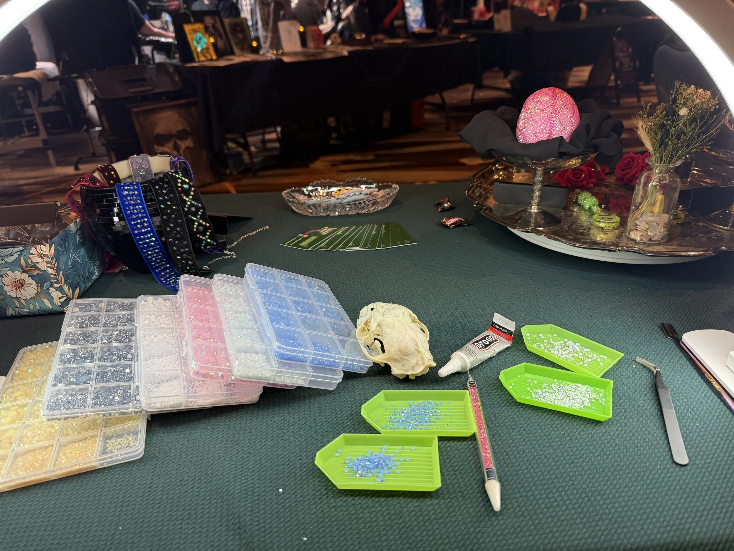 Cat skull - before-setup.jpg