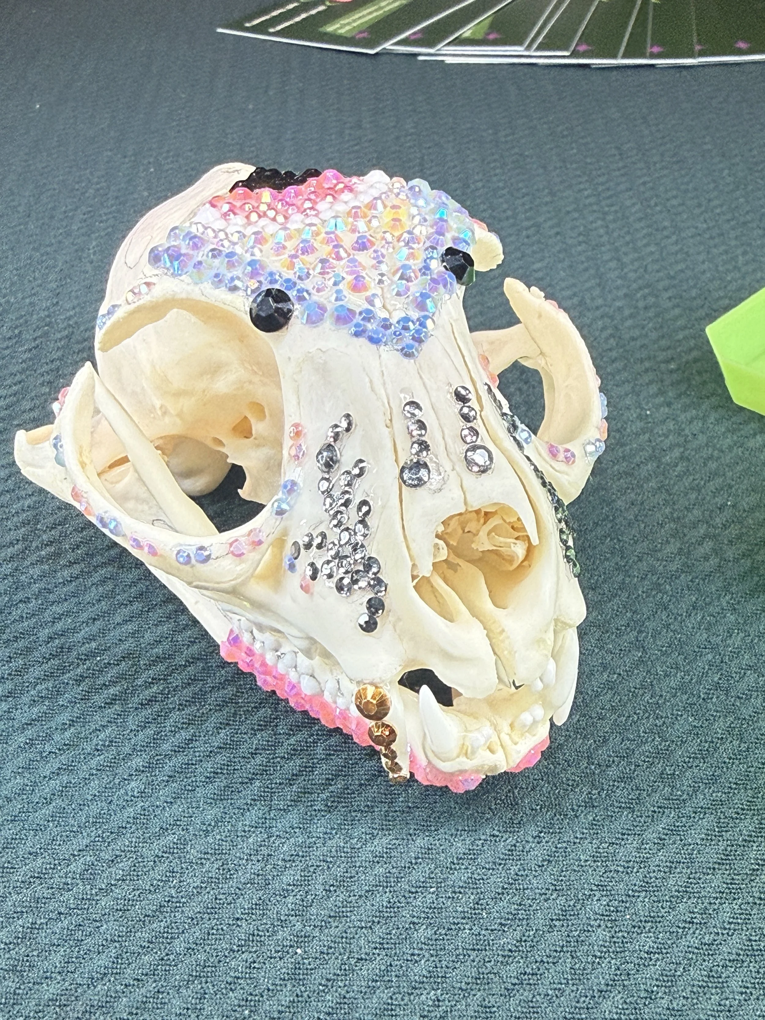 Cat Skull progress.jpg
