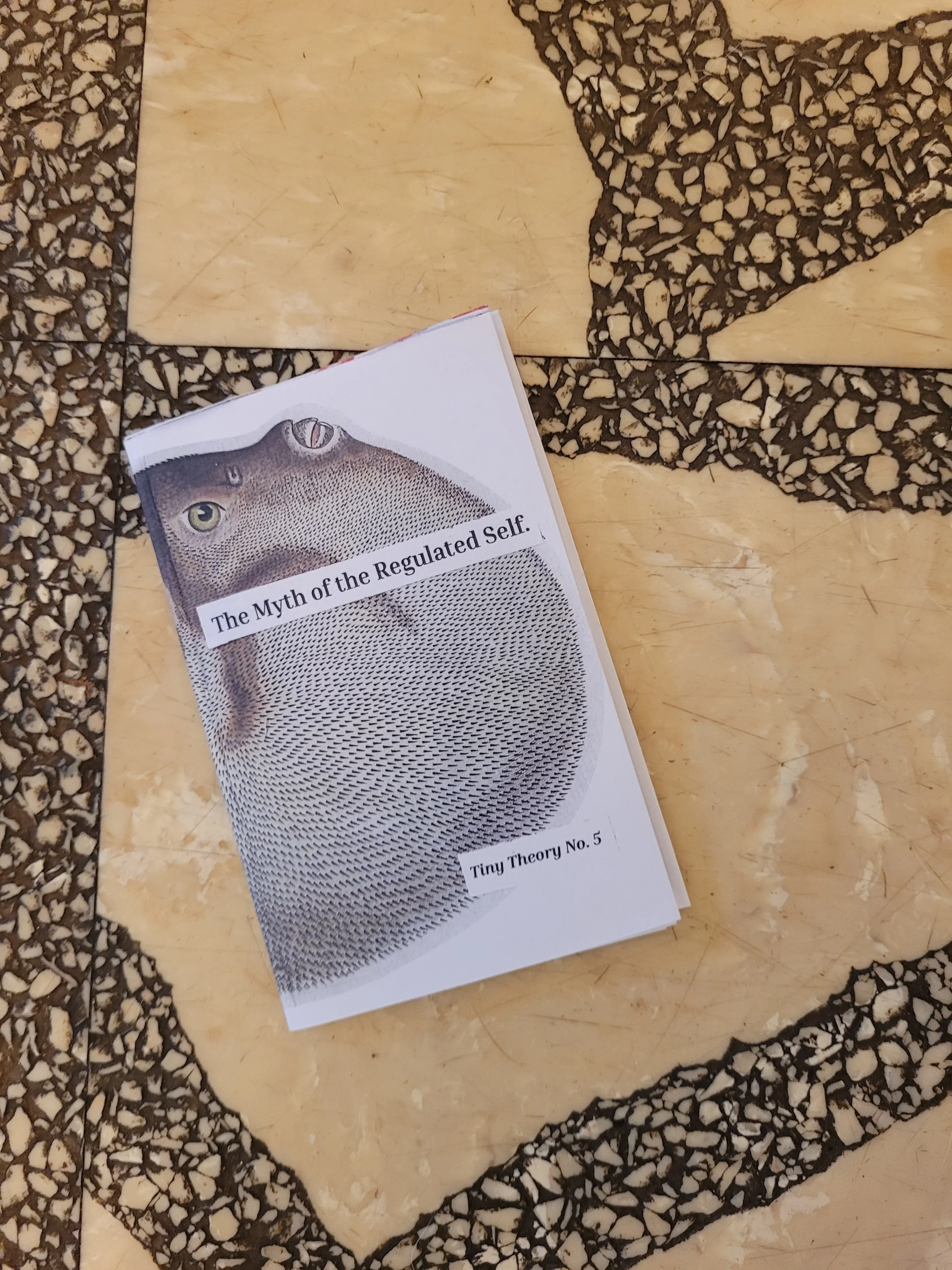 A zine with an inflated puffer fish illustration and the title "The Myth of the Regulated Self" and subtitle "Tiny Theory No. 5" on a mottled, black and beige textured background.