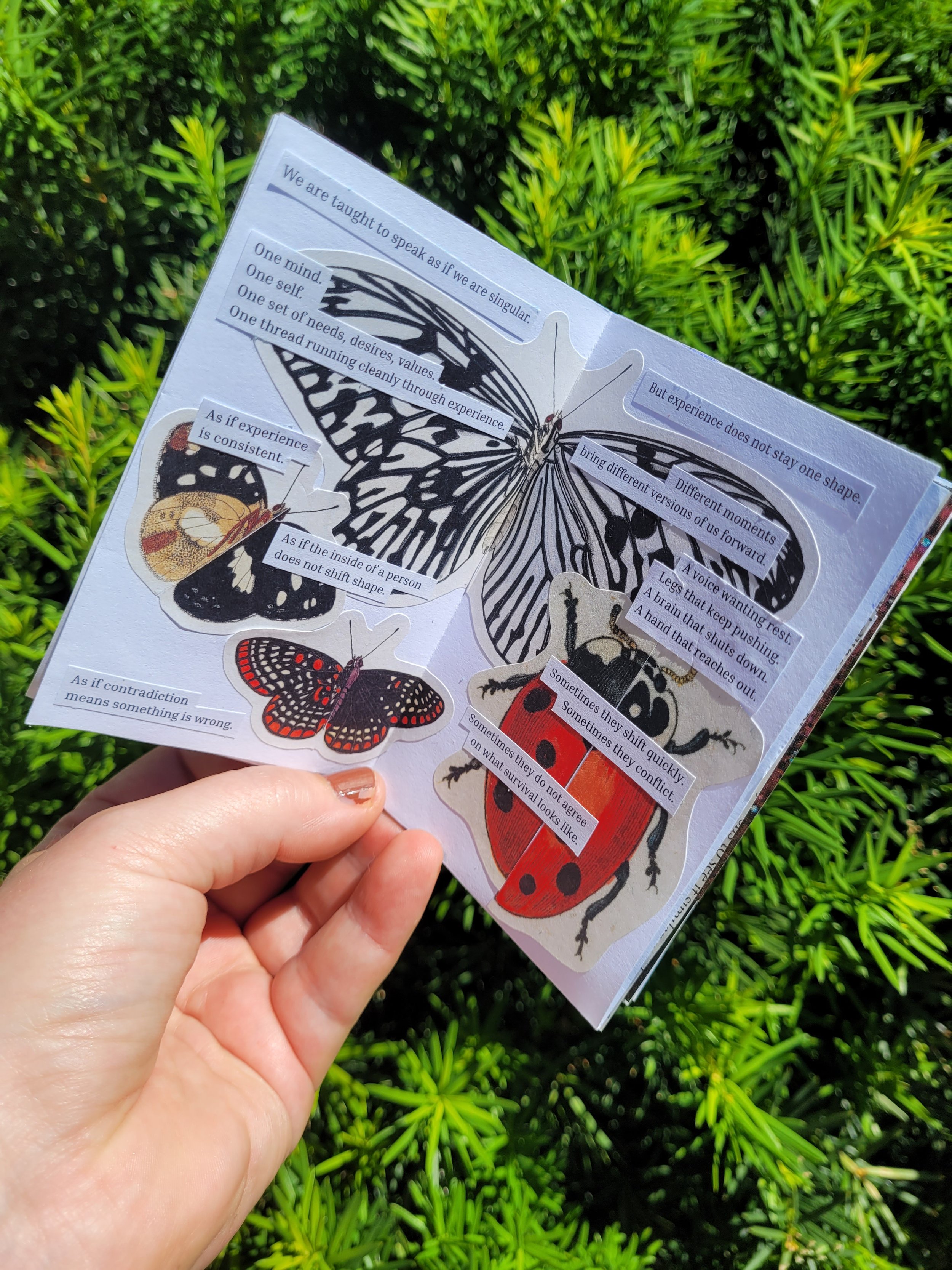 A hand holding a zine open to page with butterfly and ladybug illustrations with mismatched halves with small, unreadable text.