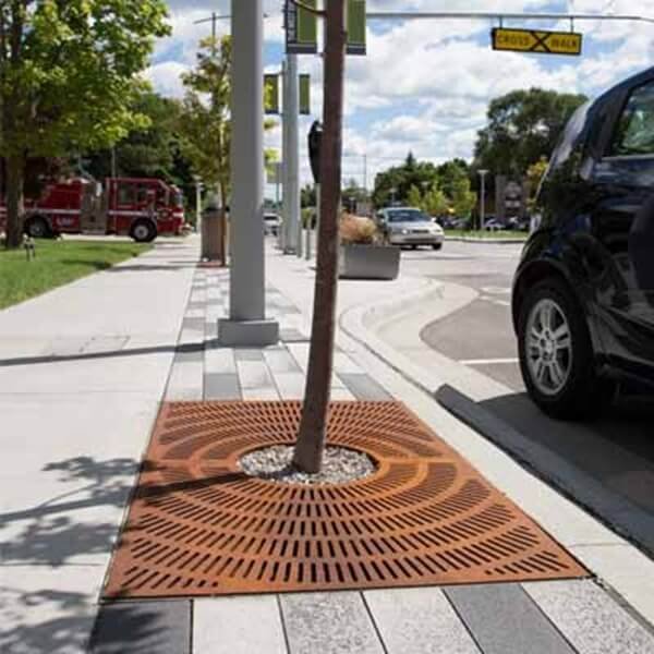 treegrate-street.jpg