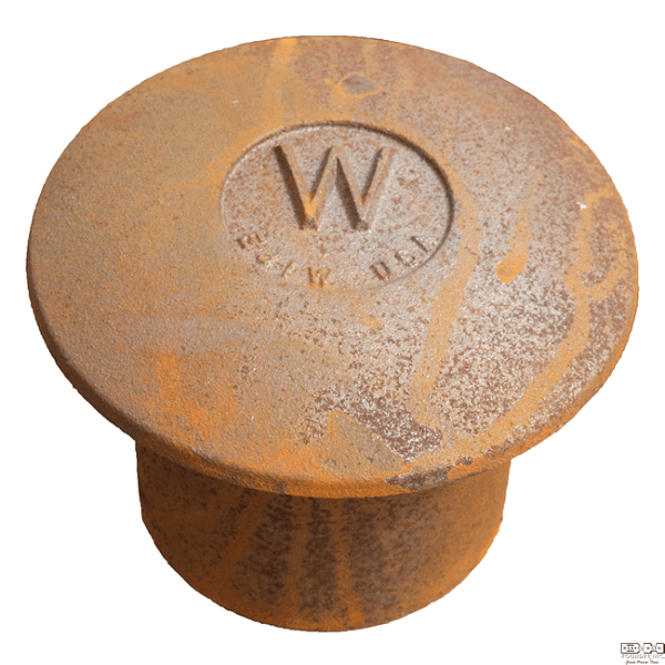 6VB Mushroom Cap