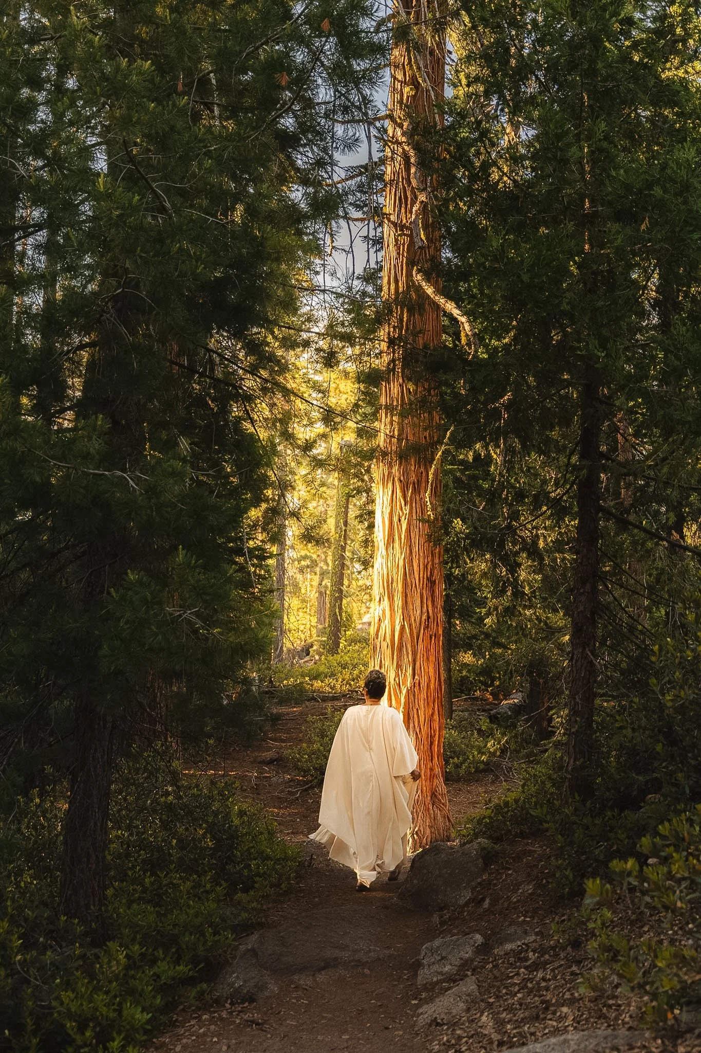 Yosemite Hike Experience