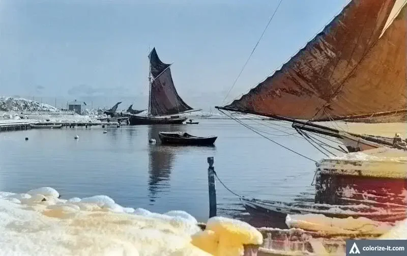 Skutor i Havshamnen, Helsingfors