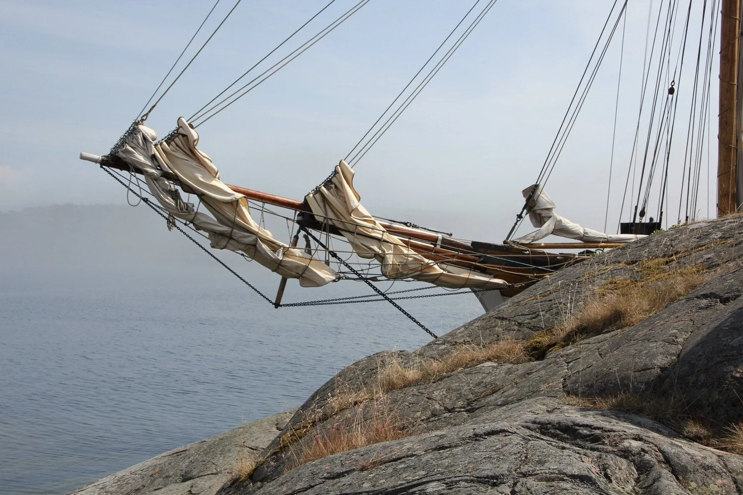 Sista semestern