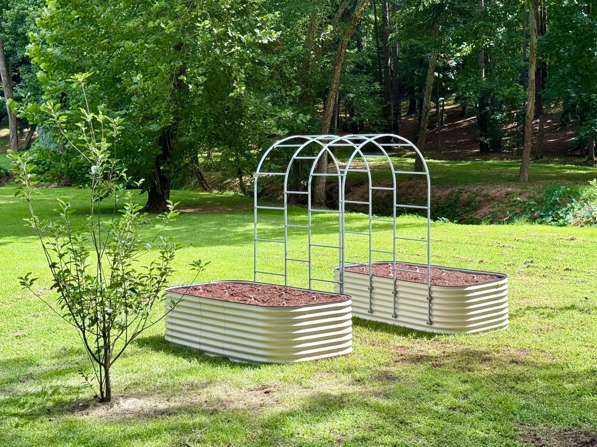 A lush green backyard with trees and grass, a white garden arch, and two large white raised garden beds filled with soil, positioned side by side.