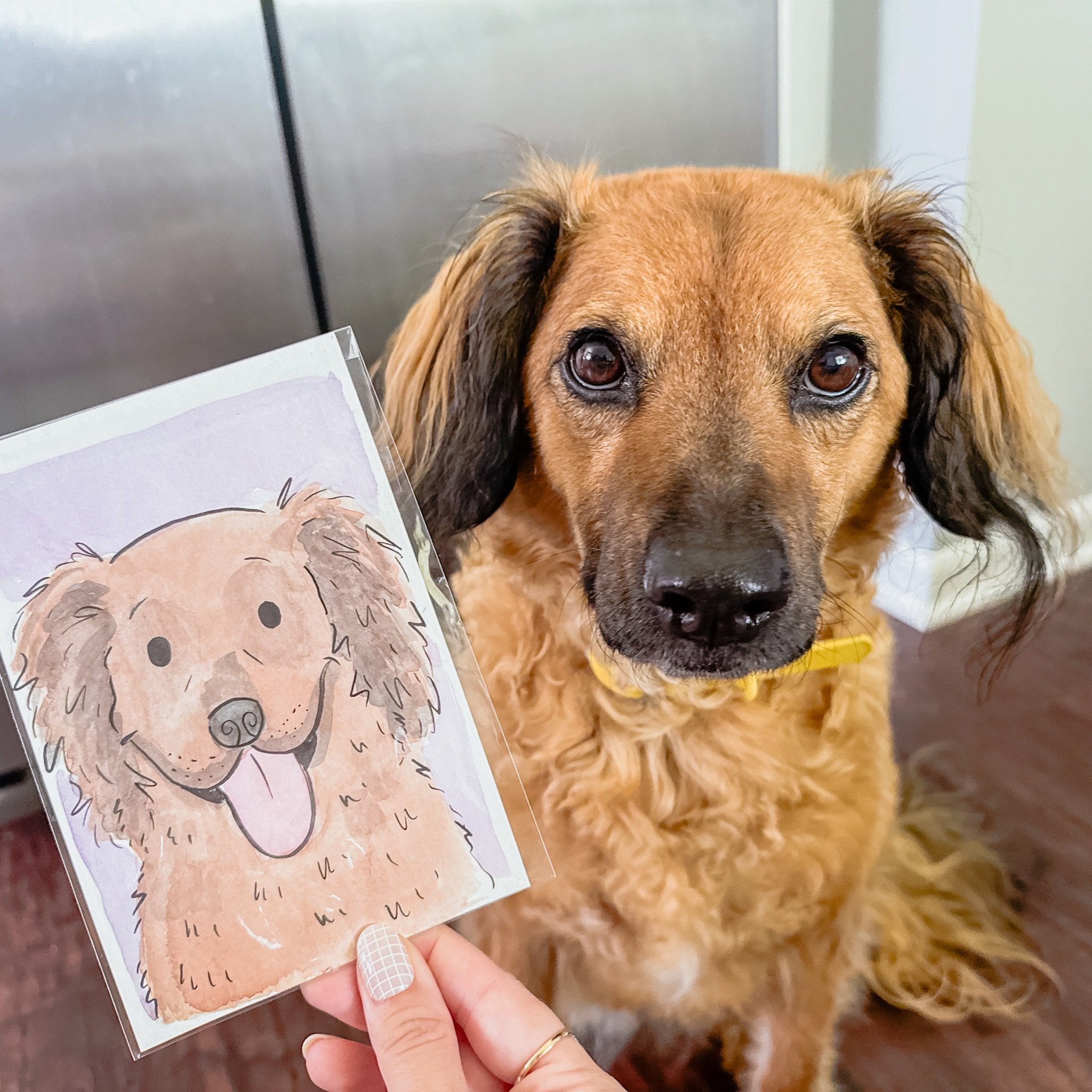 Still thinking about the wonderful souls who showed up for us at Blake&rsquo;s Lavender Festival weekend two, before &amp; after the storm 💜🥹 

I&rsquo;m so grateful for the bunches of pets &amp; beautiful faces I got to paint, the two lovely women