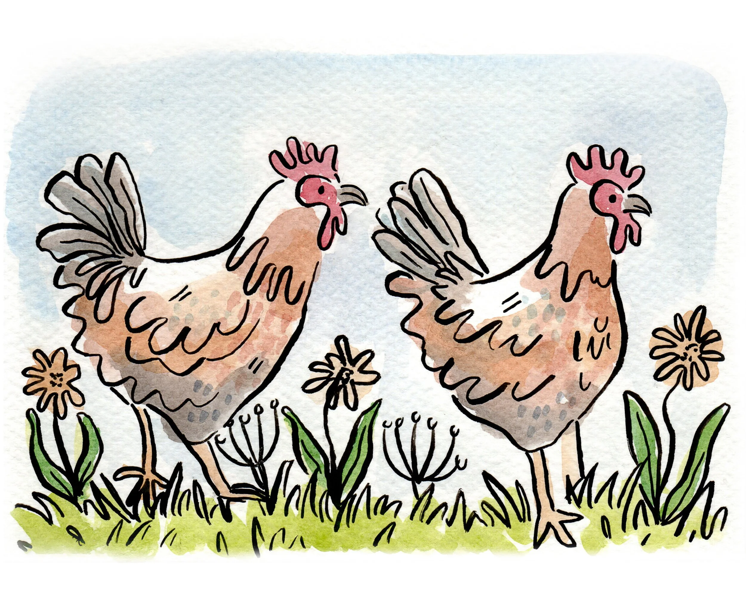 "Inky Chickens" - 5x7" watercolor and ink on paper - NFS