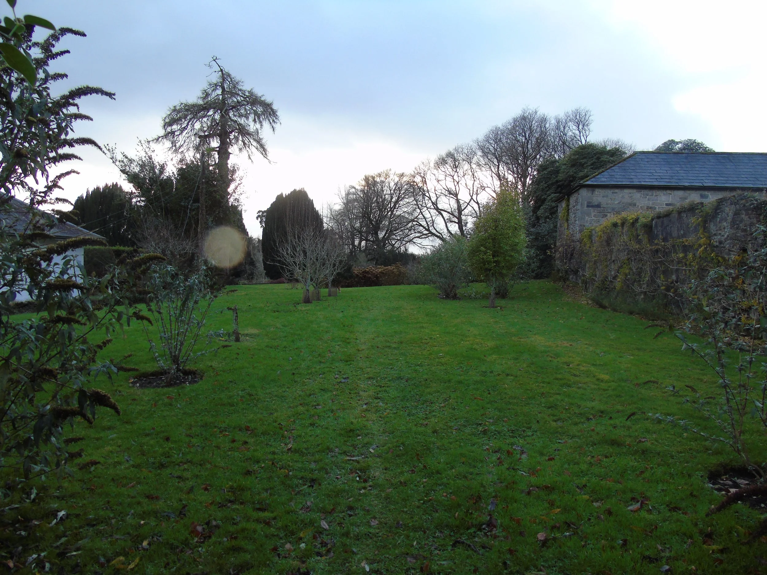 DSC04247.JPG