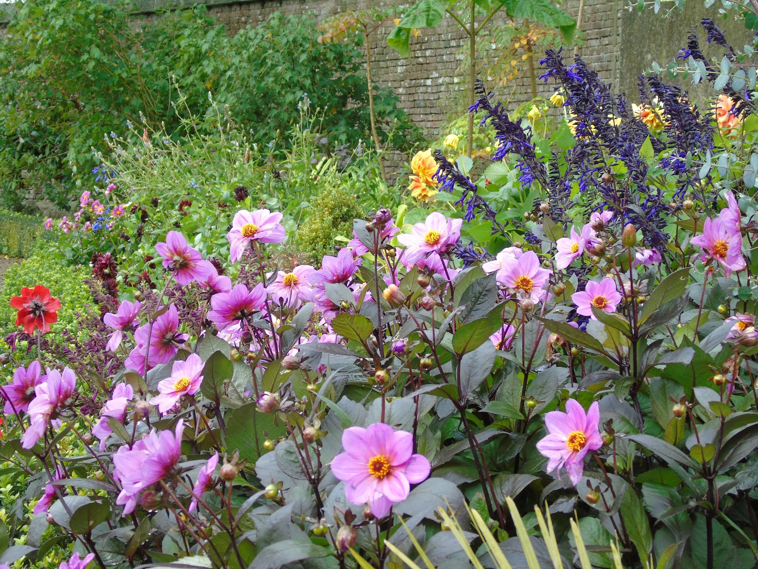 DSC01390.JPG