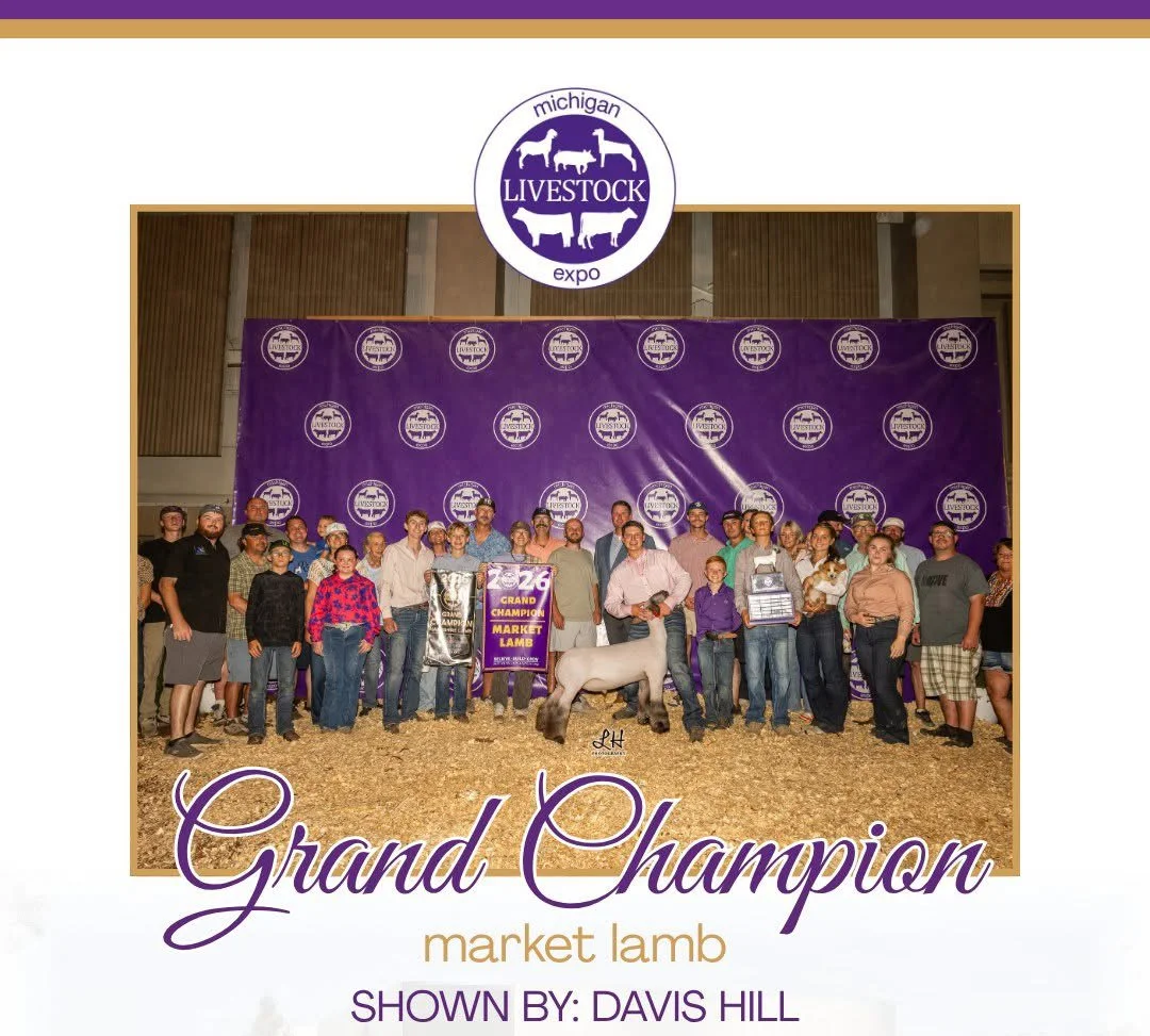 26-MichiganLivestockExpo_GrandLamb_DavisHill_RieckeClubLambs2.JPG