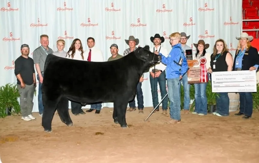 26-CalgaryStampede_GrandSteer_KahlerEaton_ConineLivestock.jpeg