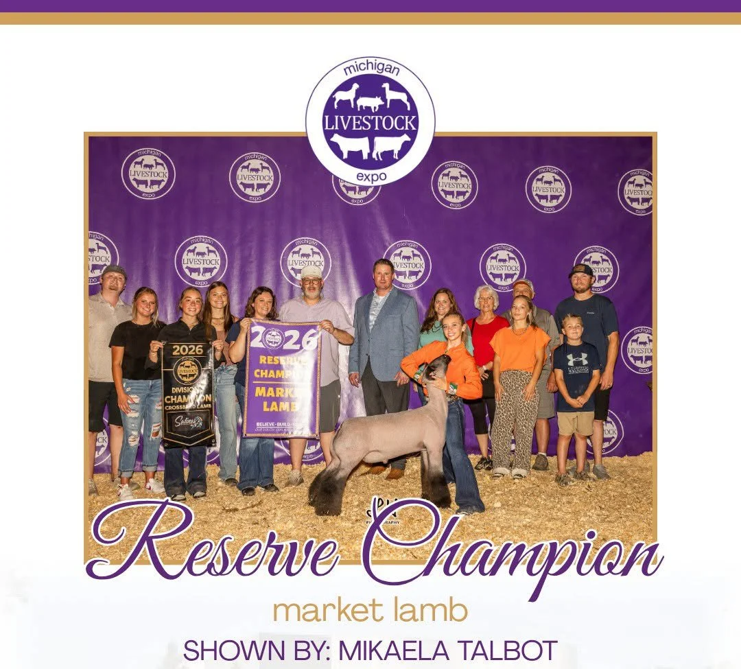 26-MichiganLivestockExpo_ReserveGrandLamb_MikaelaTalbot.jpg