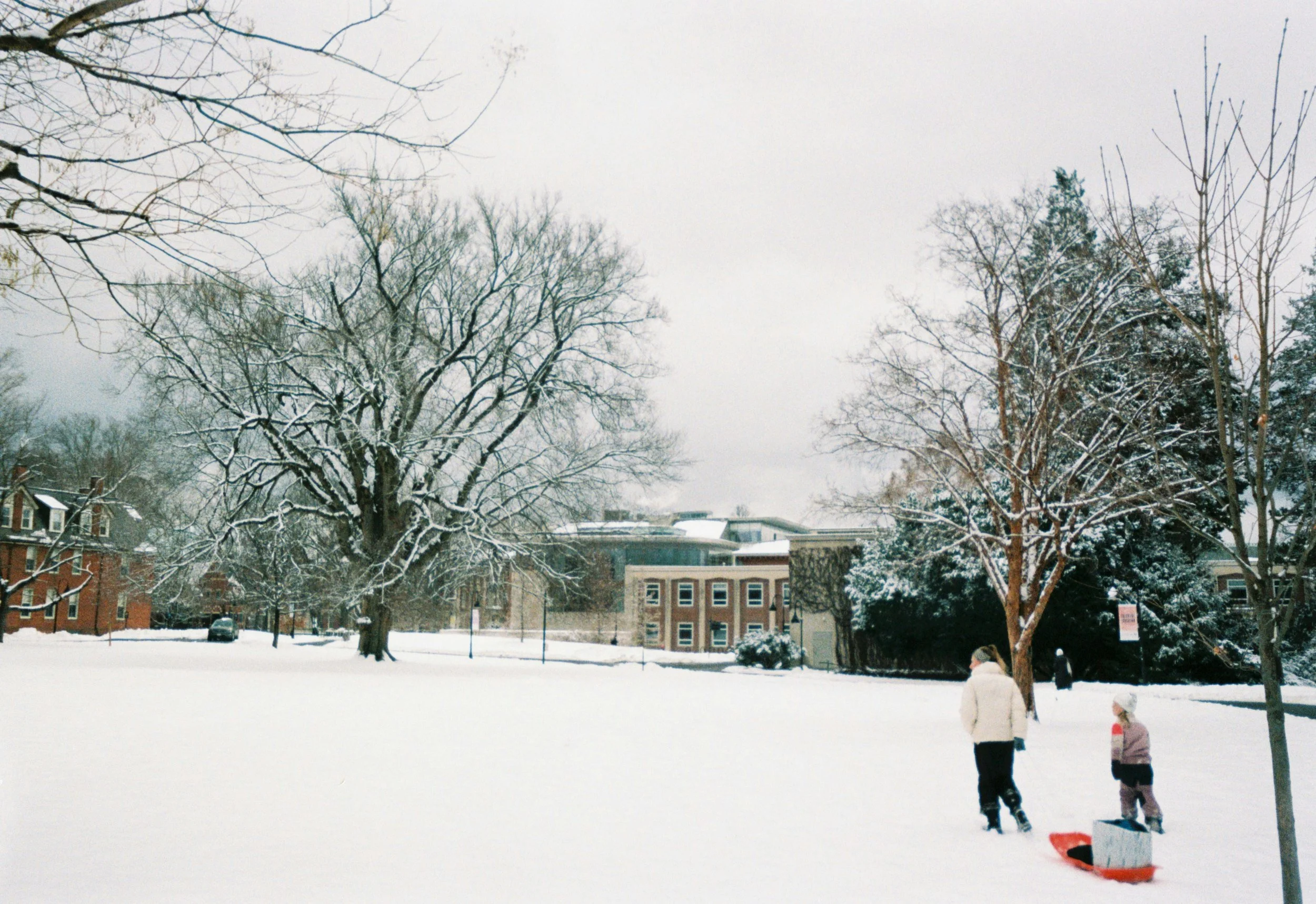 A snowy park with trees and buildings in the background, children playing in the snow, one child standing next to a red sled.