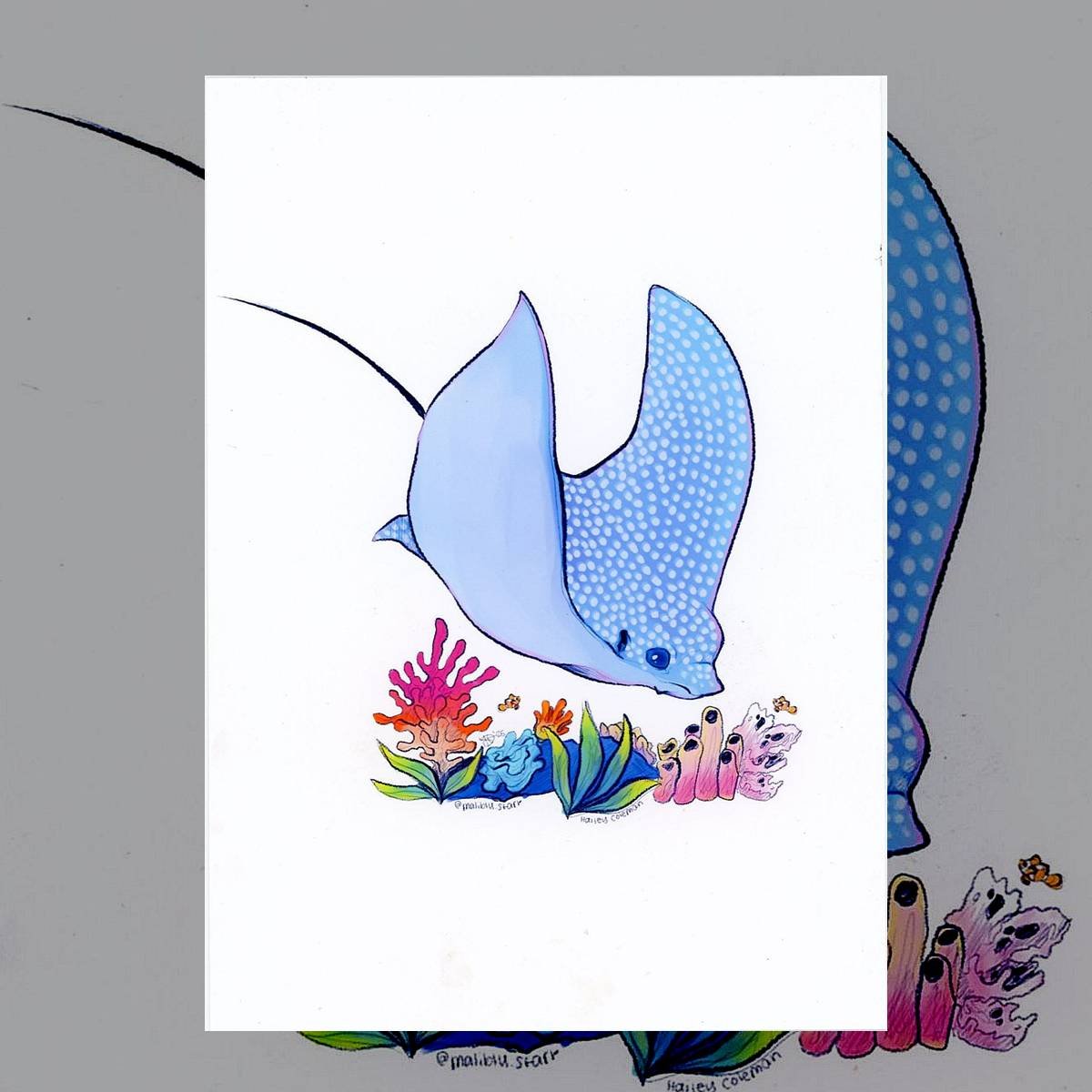 Eagle Ray Print
