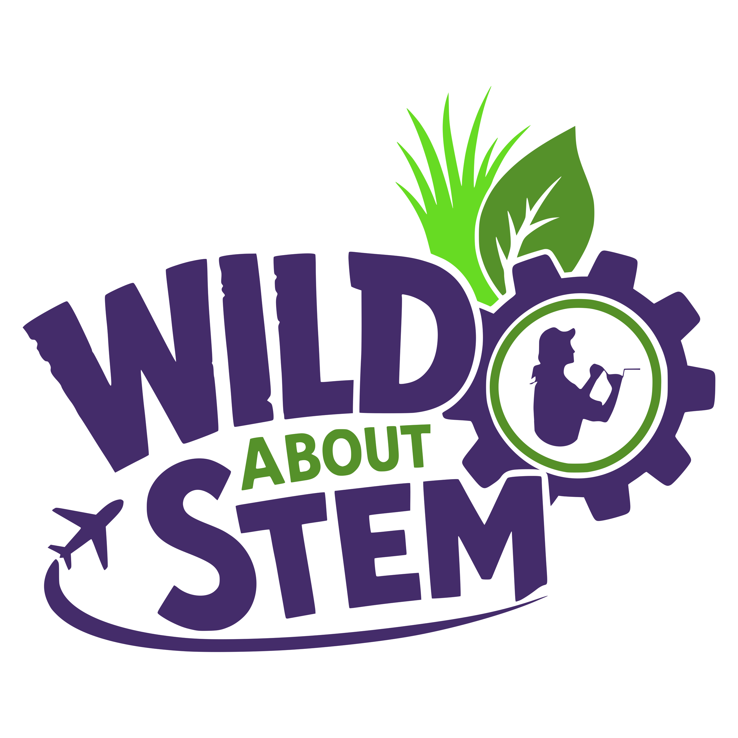STEM Programs (Wild About STEM)
