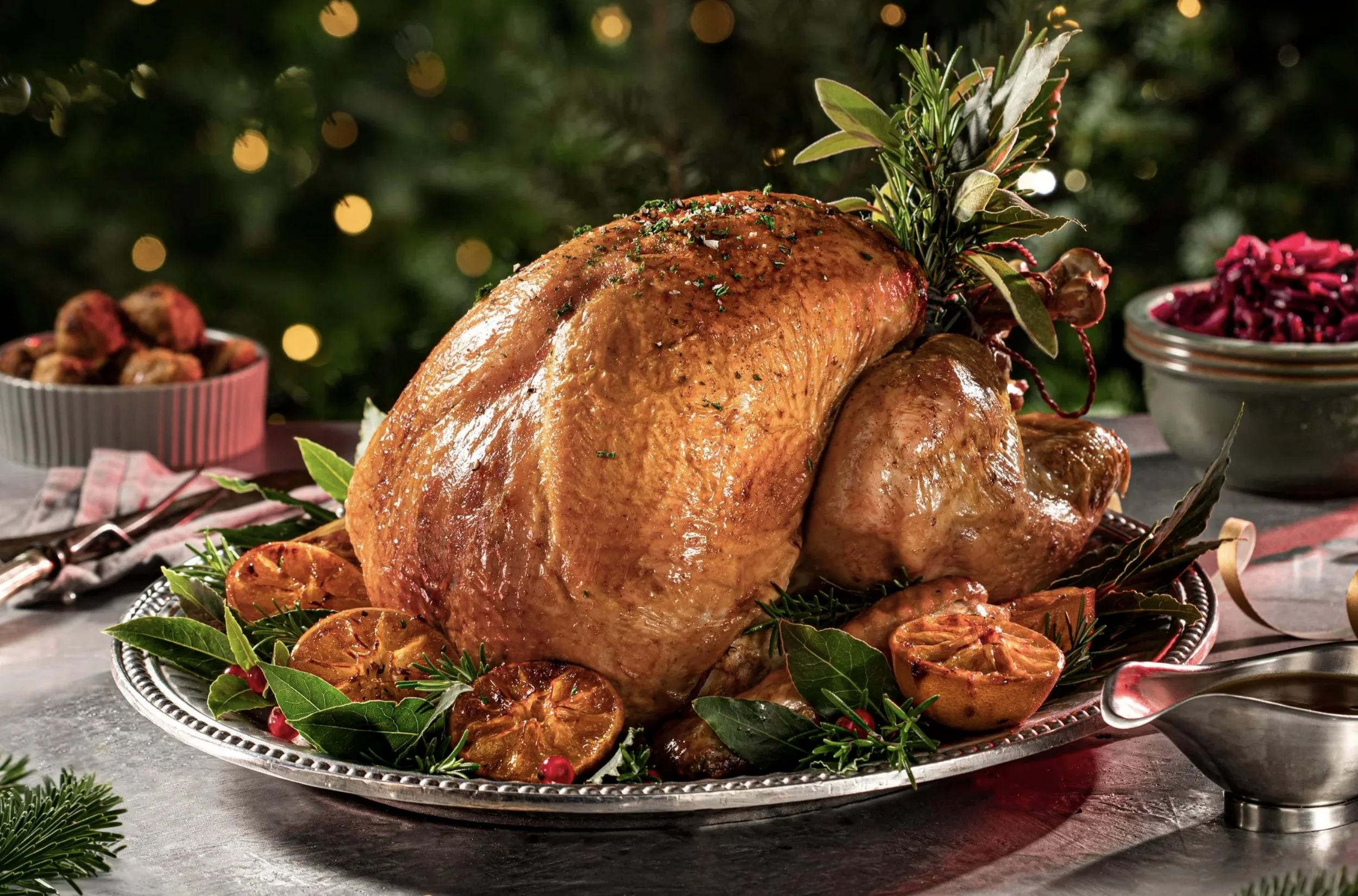 JMS_KATS_Turkey.jpg